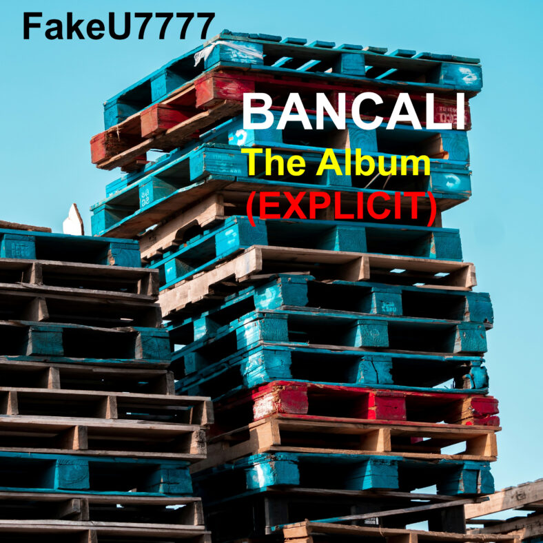 BANCALI è il titolo del primo album dei FakeU7777, la boyband virtuale Hip Hop creata unendo il cuore degli esseri umani al rigore delle macchine